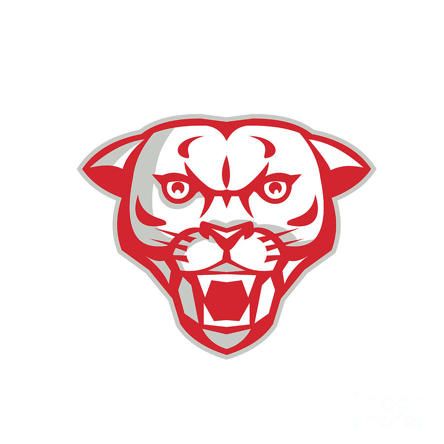 900x900 angry cougar mountain lion head retro digital art - Mountain Lion Head Drawing