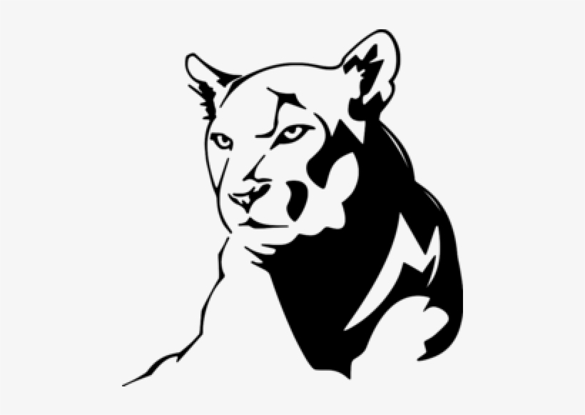 820x581 Black Panther Head Drawing - Mountain Lion Head Drawing