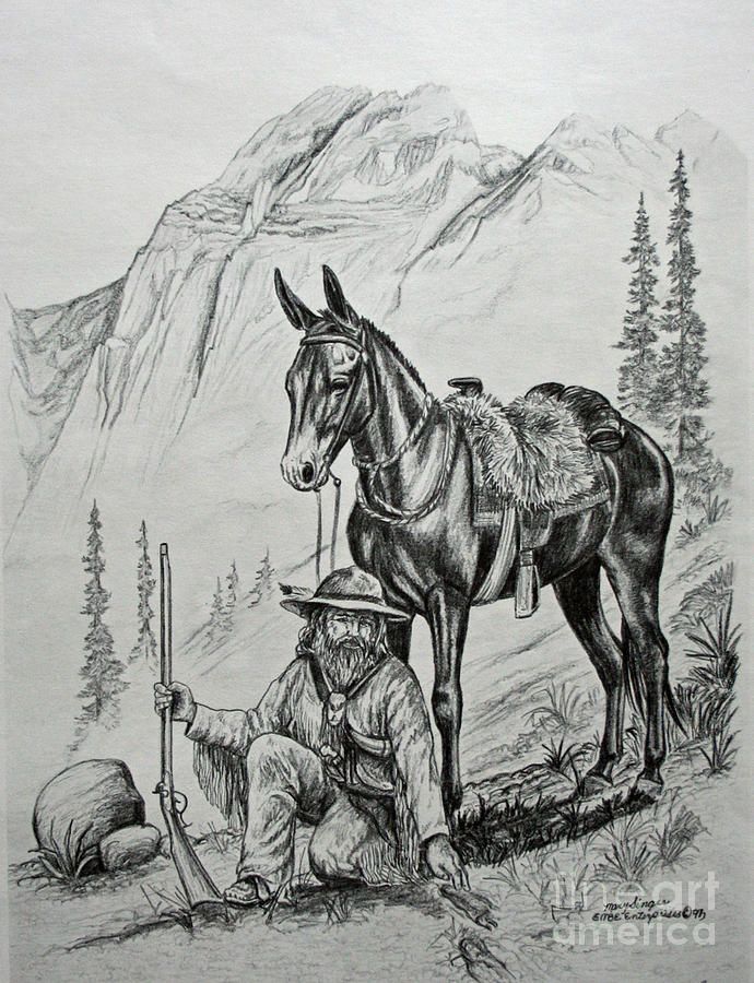 690x900 Mountain Man - Mountain Man Drawing