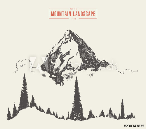 500x442 vector mountain peak pine forest style hand drawn - Mountain Peak Drawing