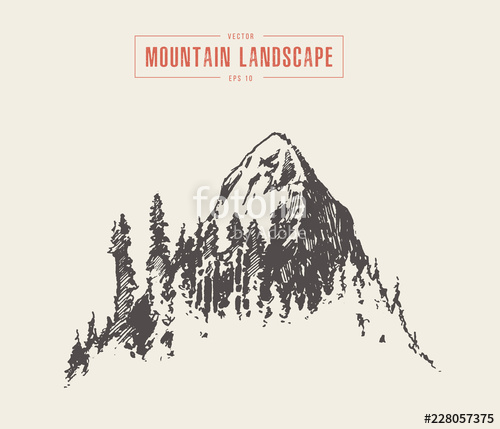 500x429 vector mountain peak pine forest style hand drawn stock image - Mountain Peak Drawing