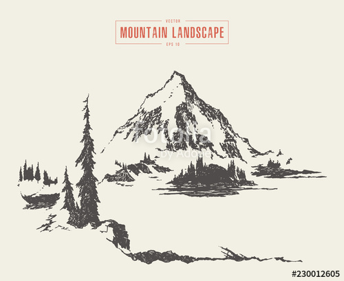500x409 vector of a mountain peak pine forest lake drawn stock image - Mountain Peak Drawing