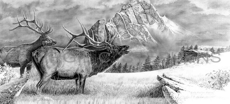 780x353 Rocky Mountain Morning, Elk Pencil Drawing - Mountain Pencil Drawing