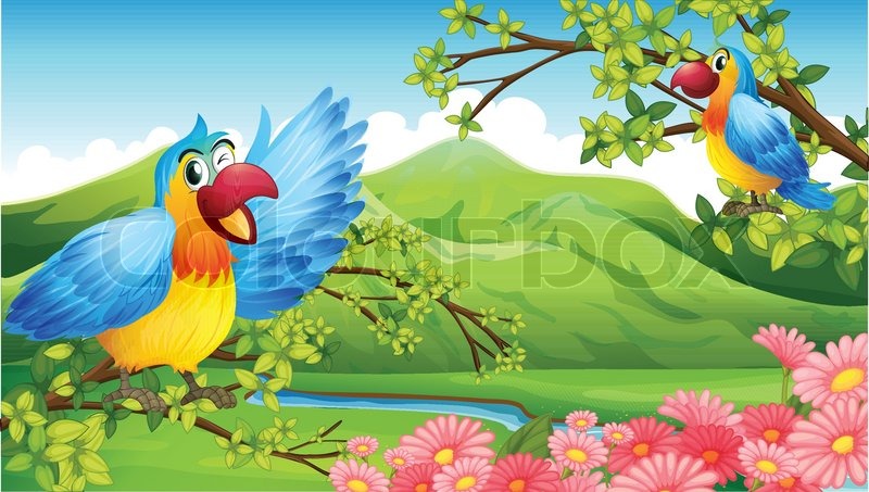 800x453 illustration of two colorful parrots stock vector colourbox - Mountain Scenery Drawing