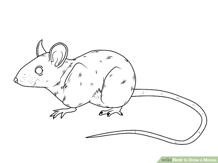 stick mouse drawing