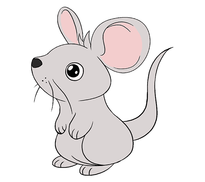 678x600 How To Draw A Mouse Step - Mouse Animal Drawing