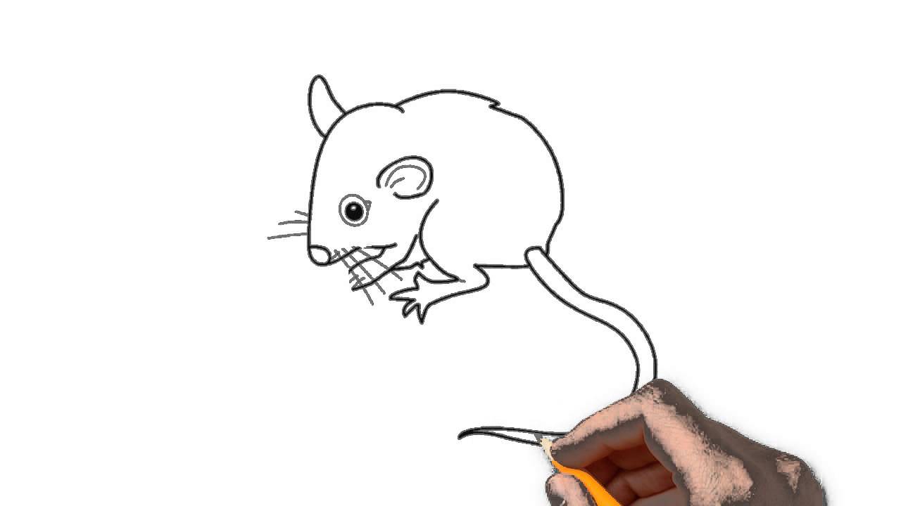 1280x720 The Mouse Animals Pencil To Draw Step - Mouse Animal Drawing