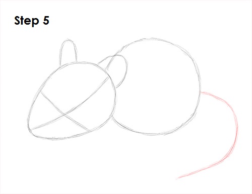 500x386 How To Draw A Mouse - Mouse Drawing