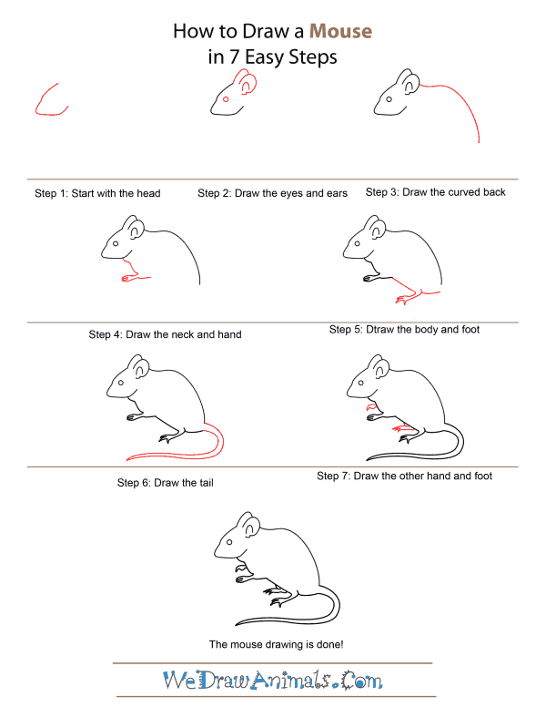 How t. How to draw a Mouse. Mouse to draw. Технологическая карта рисование мышка. How to draw with Mouse.