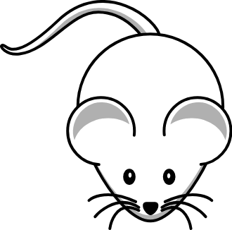 330x326 image result for mouse drawing easy childcare simple cartoon - Mouse Drawing Easy