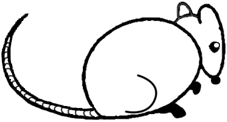 452x244 big guide to drawing cartoon mice with basic shapes for kids - Mouse Drawing Easy