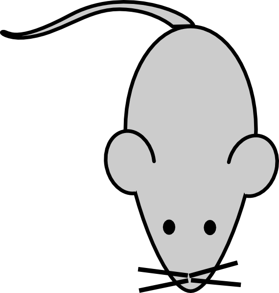 570x597 Lab Mouse Clip Art - Mouse Drawing Images
