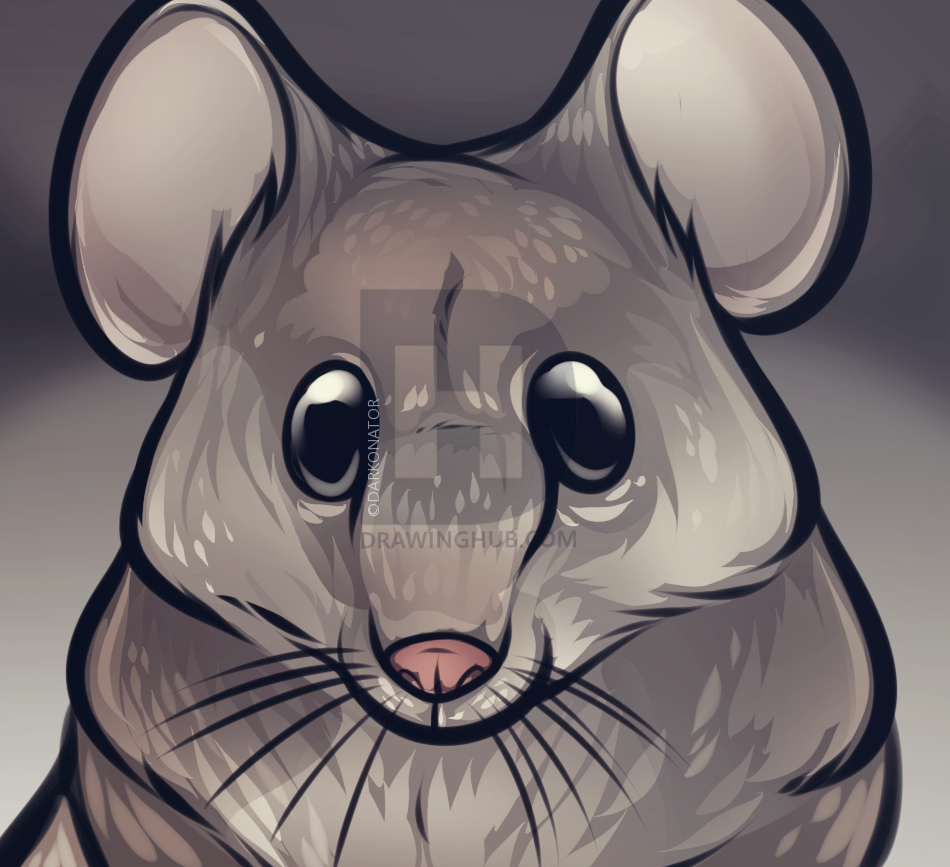 950x867 How To Draw A Mouse Face, Step - Mouse Face Drawing