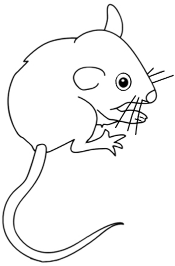 350x531 How To Draw A Mouse For Kids - Mouse Outline Drawing