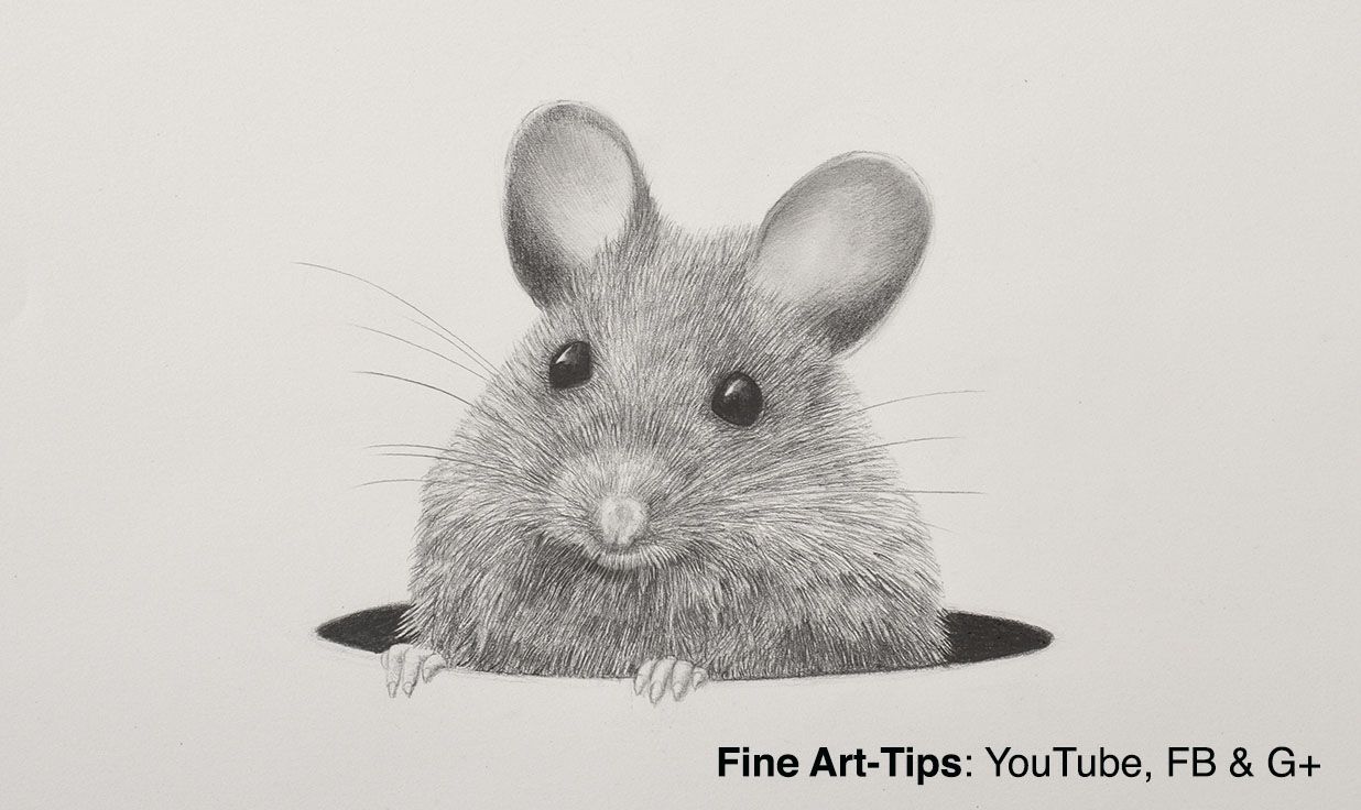 1236x736 How To Draw A Mouse - Mouse Pencil Drawing