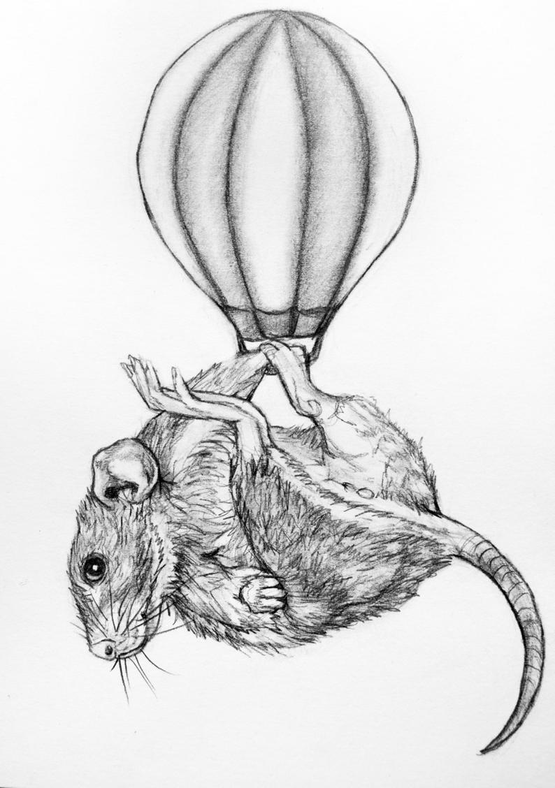 794x1128 Original Pencil Drawing Mouse And A Hot Air Balloon Etsy - Mouse Pencil Drawing