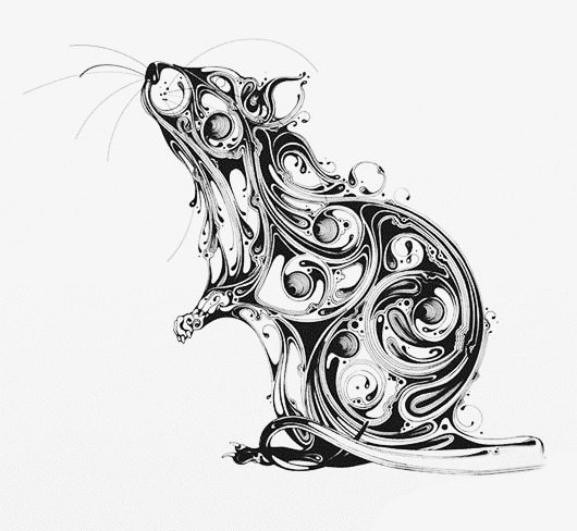 530x488 Pencil Drawing Black Rat, Mouse, Black, Hand Painted Mouse Png - Mouse Pencil Drawing