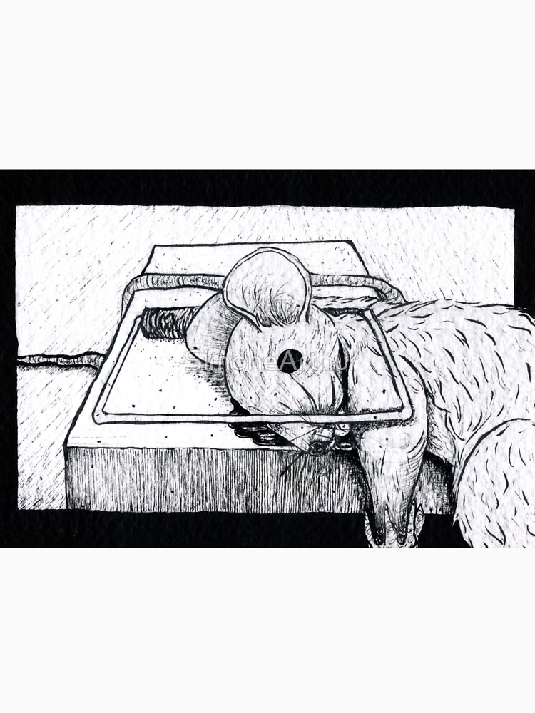 Mouse Trap Drawing at PaintingValley.com | Explore collection of Mouse ...