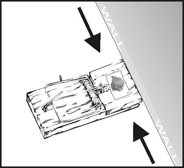 600x546 how to set a mousetrap lloyd pest control - Mouse Trap Drawing