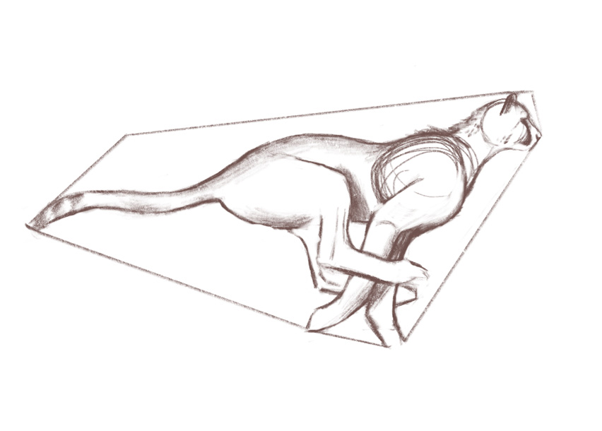 852x610 big cats animal anatomy and drawing krister eide - Moving Drawing