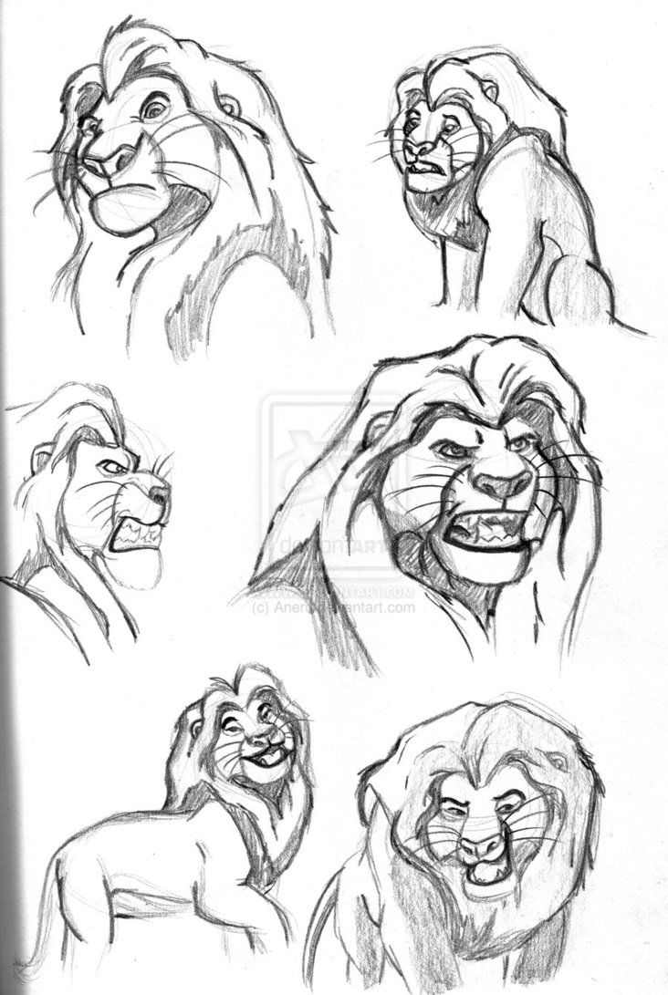 732x1091 mufasa - Mufasa Drawing