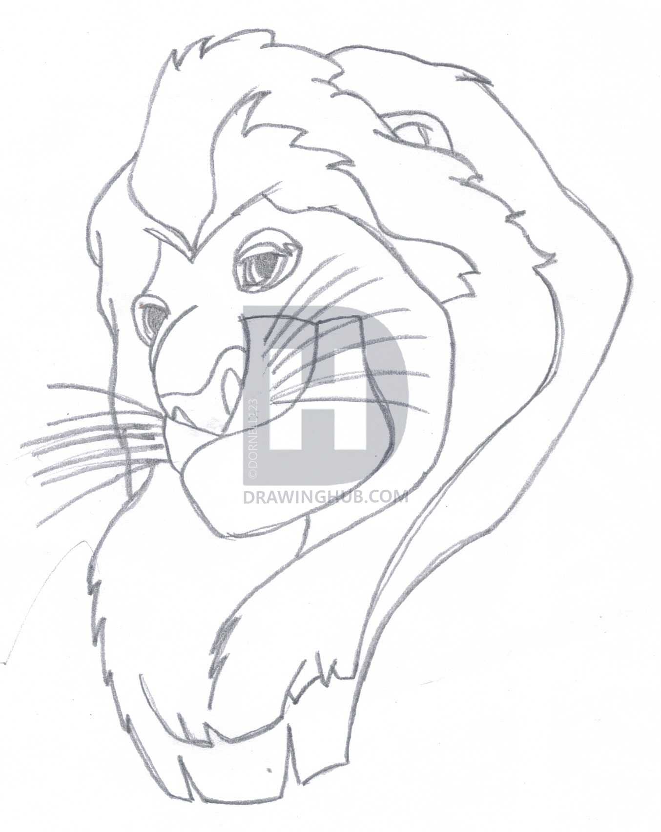 Mufasa Drawing at PaintingValley.com | Explore collection of Mufasa Drawing