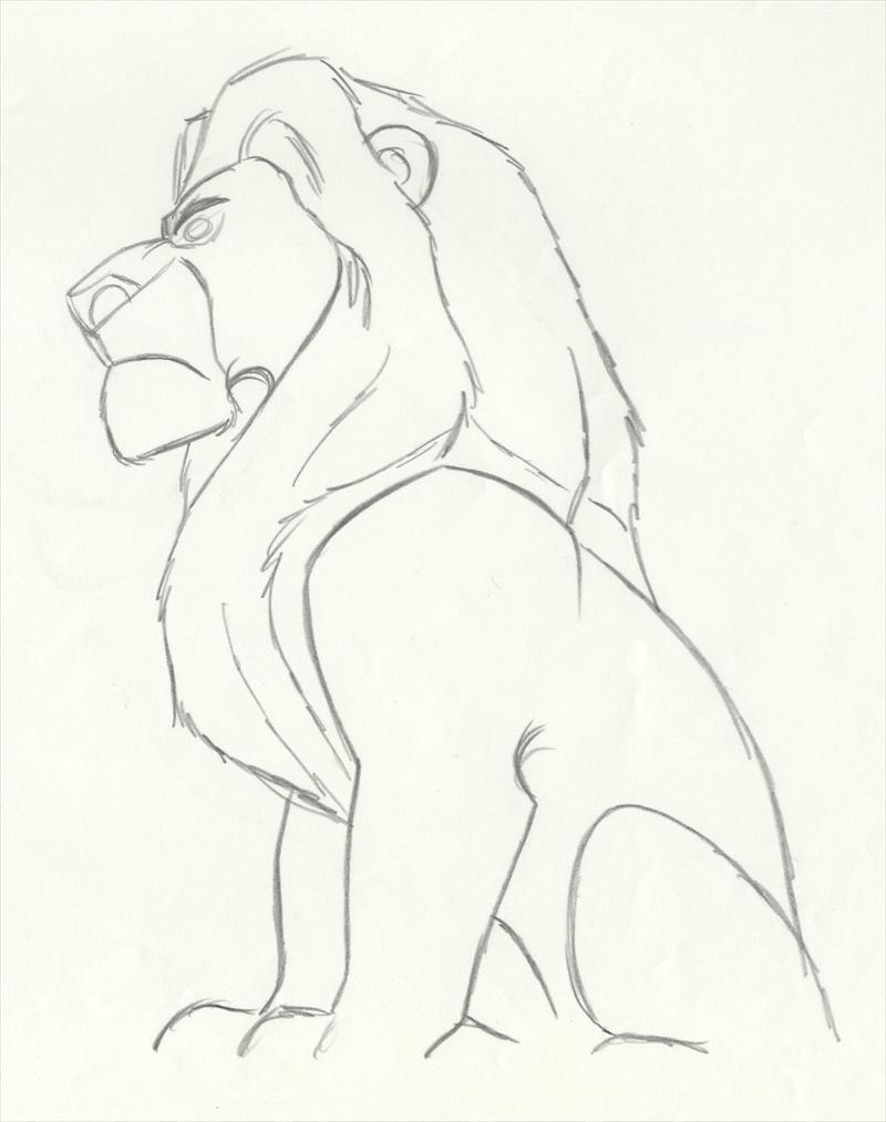 800x1013 disney the lion king animation drawing - Mufasa Drawing