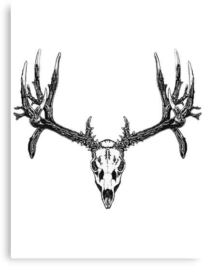 422x550 monster mule deer skull canvas print - Mule Deer Skull Drawing
