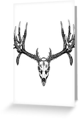 277x415 monster mule deer skull greeting cards - Mule Deer Skull Drawing