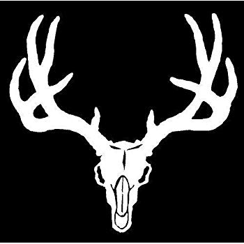 350x350 white - Mule Deer Skull Drawing