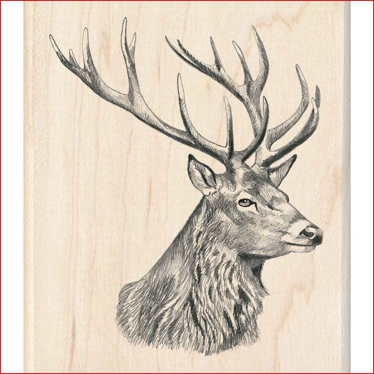 1280x1280 skull drawings clipart tribal mule deer - Mule Deer Skull Drawing