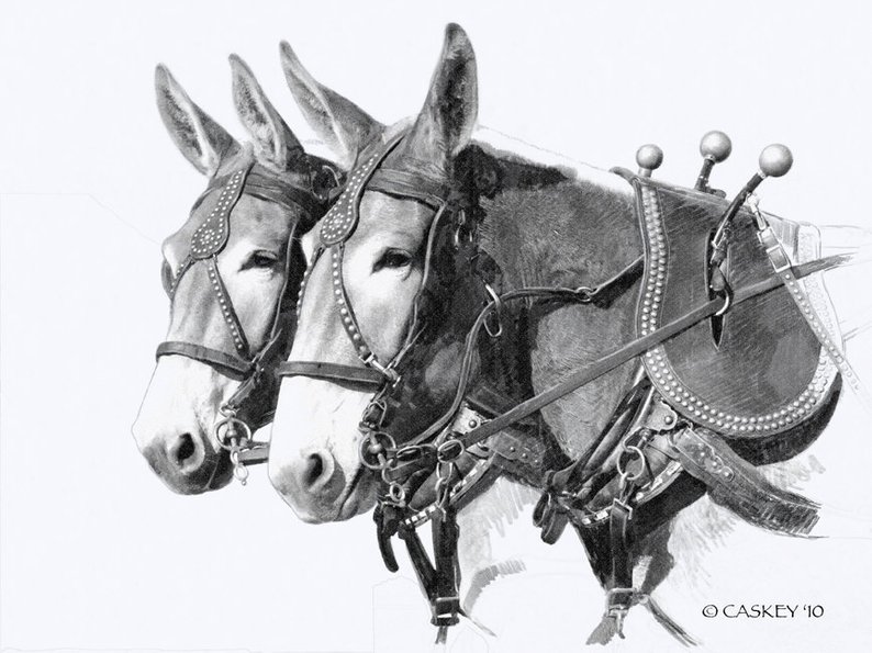 794x595 sorrel draft mule team print from pencil drawing etsy - Mule Drawing