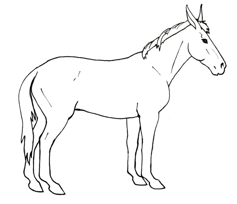 800x691 mule drawing line for free download - Mule Drawing