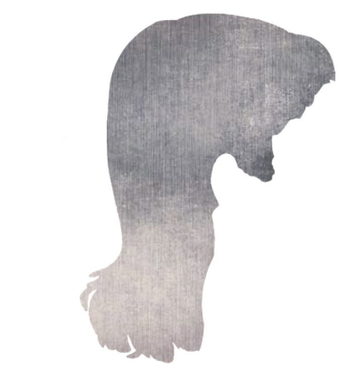 699x752 taming the mullet - Mullet Drawing