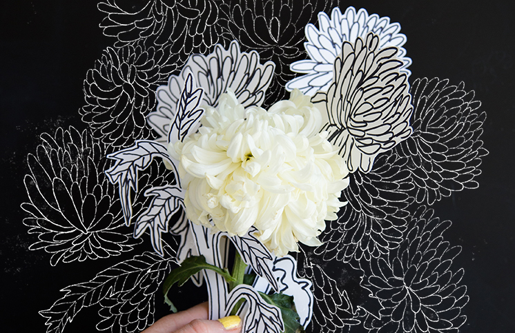 746x483 day how to draw a mum - Mum Flower Drawing