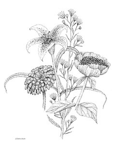 240x300 flower bunch drawing - Mum Flower Drawing