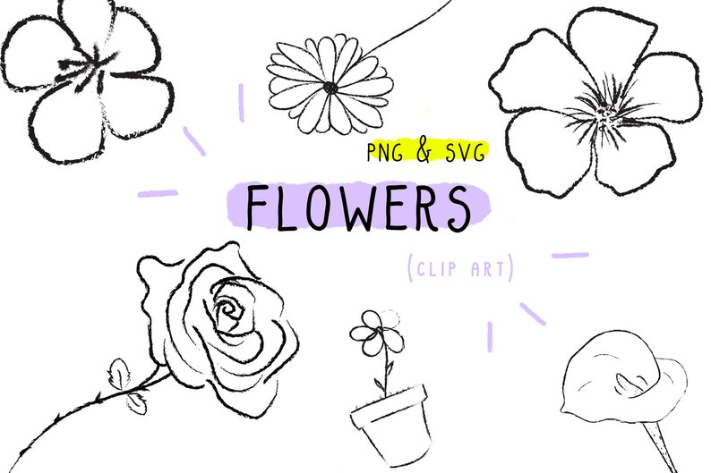794x529 sale flower clipart botanical cute art png digital etsy - Mum Flower Drawing