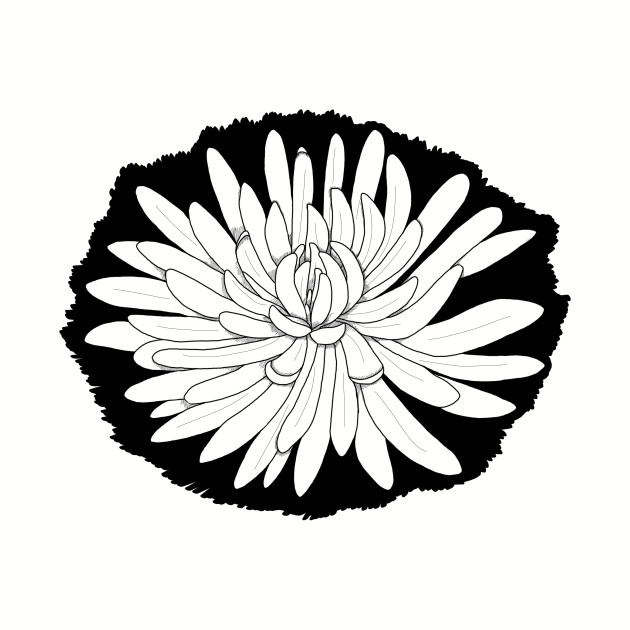 630x630 spider mum - Mum Flower Drawing