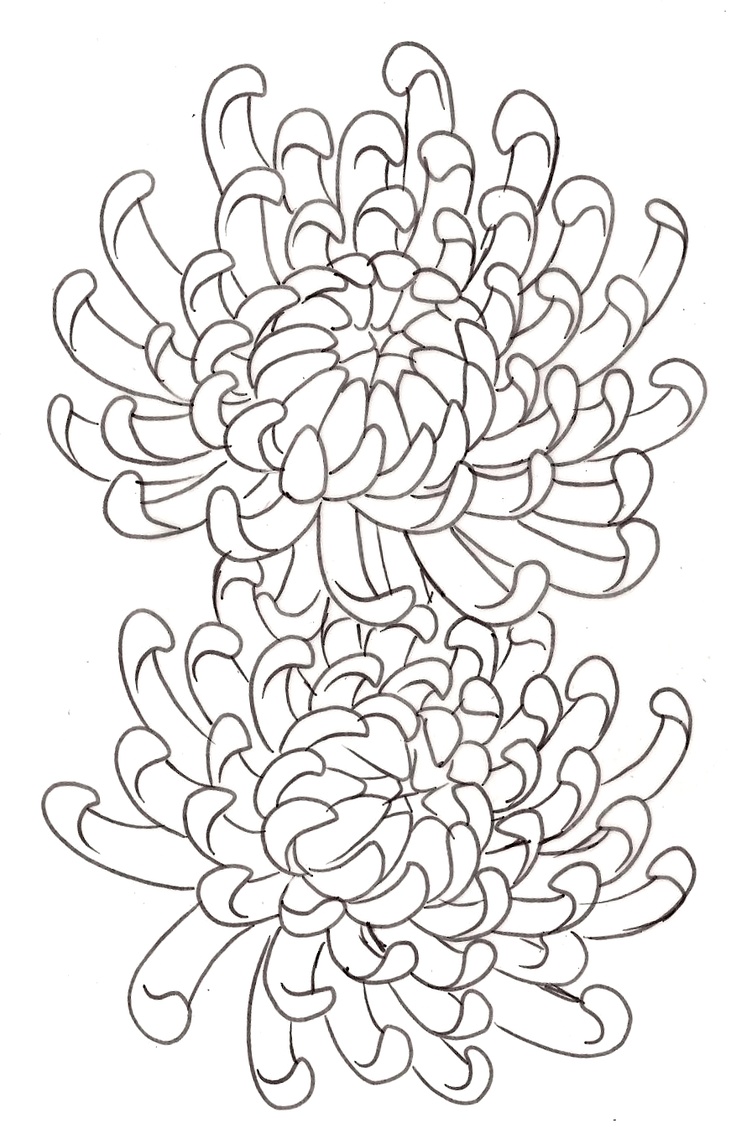 Mum Flower Drawing at Explore collection of Mum