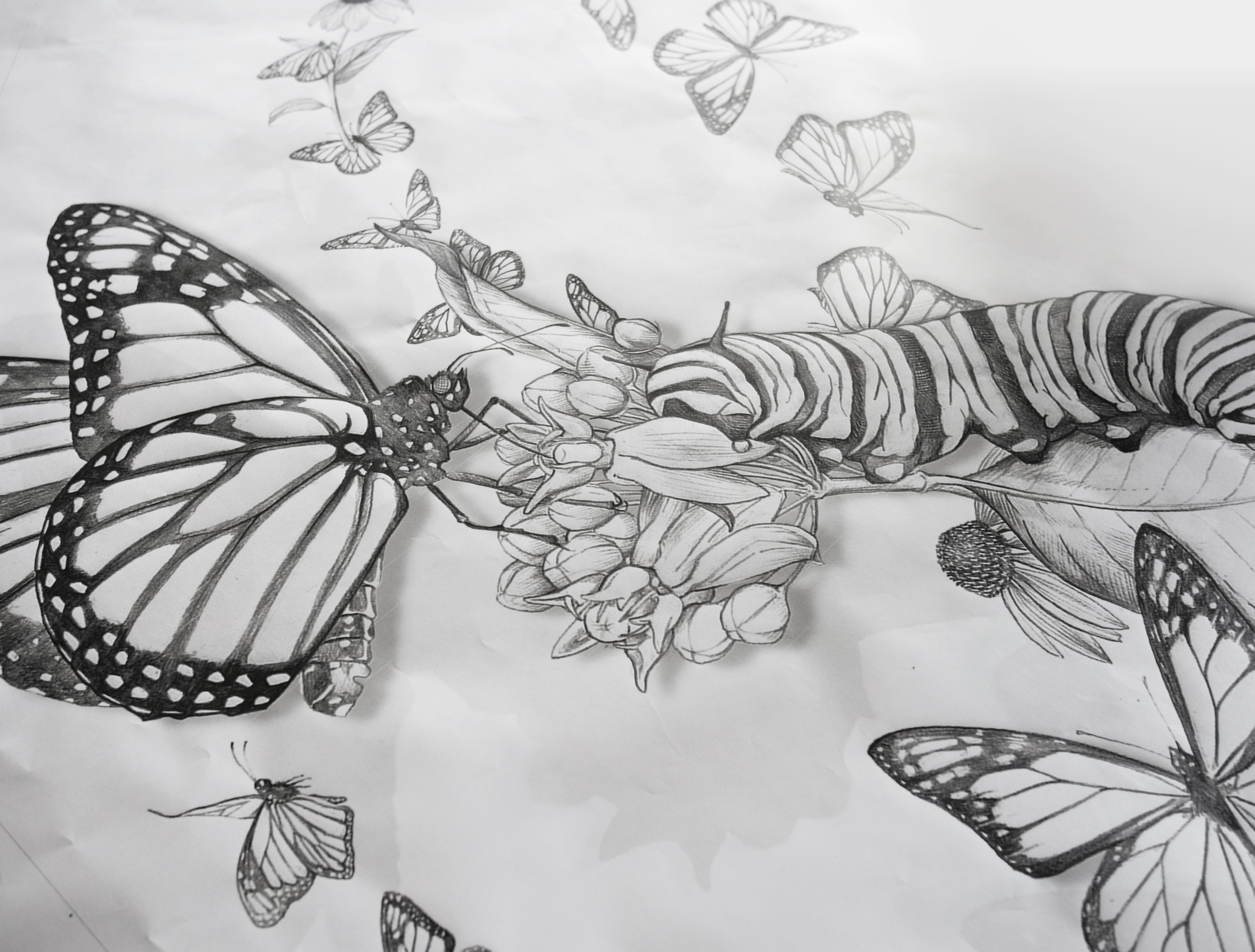 5124x3888 large scale art makes tiny creatures 'impossible to ignore - Mural Drawing