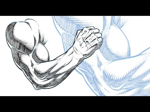 480x360 drawing and shading a muscular arm - Muscle Arm Drawing
