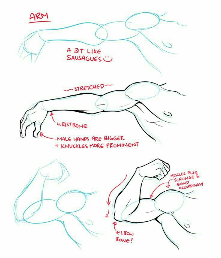 736x859 arm, muscles, text how to draw mangaanime how to draw manga - Muscle Arm Drawing