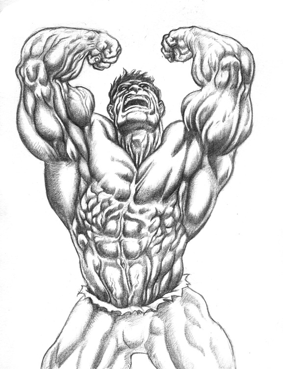 577x750 hulk drawing muscle for free download - Muscle Drawing