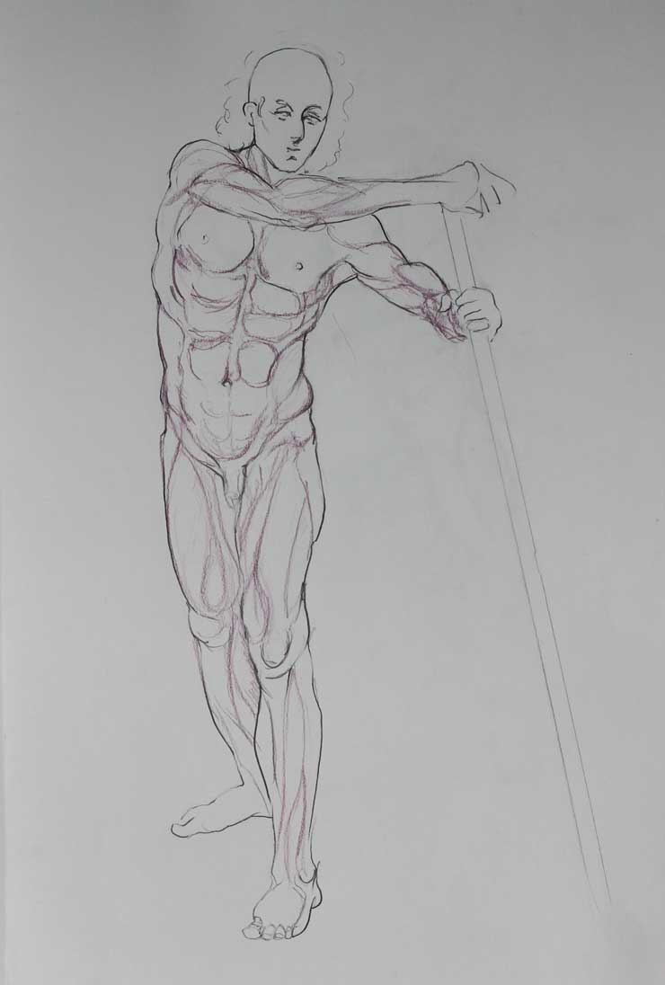 740x1096 learning the muscles for figure drawing love life drawing - Muscle Drawing