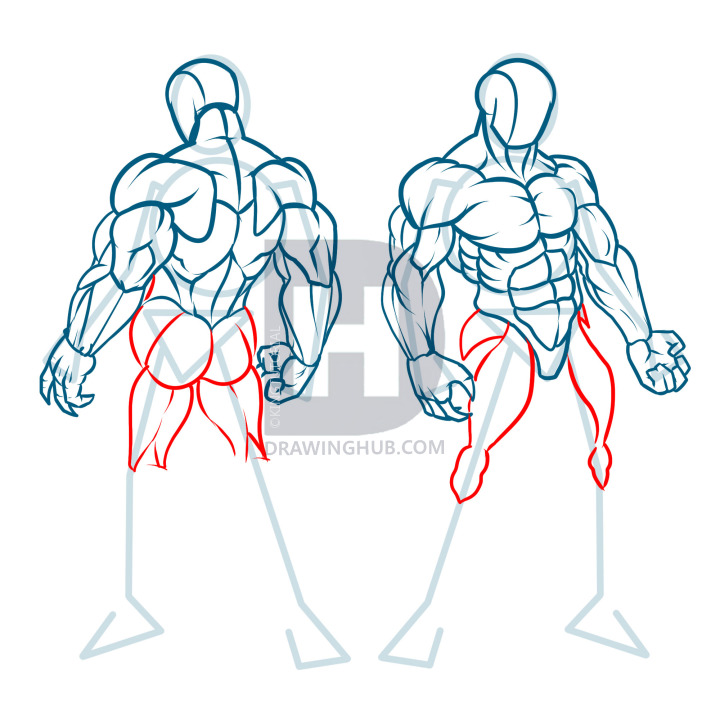 720x720 how to draw muscles, step - Muscle Drawing