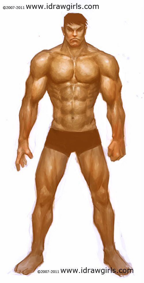 500x984 how to draw human, paint male muscle projects to try human - Muscle Guy Drawing