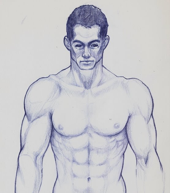 555x630 paul halasa muscle guy from sketchbook - Muscle Guy Drawing