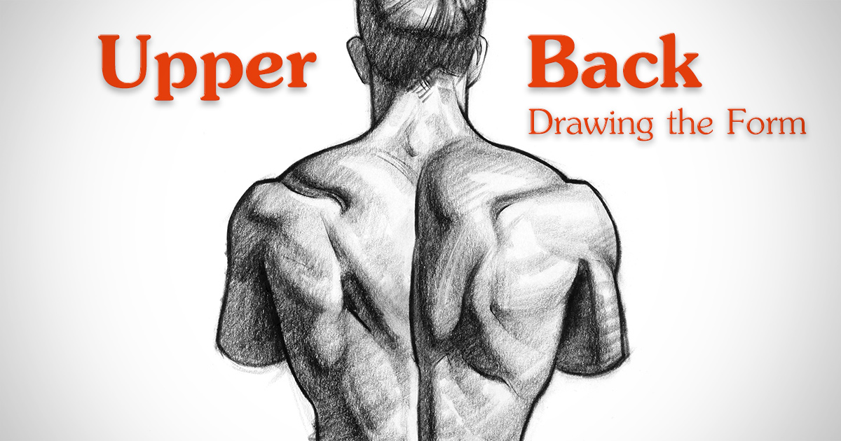 1200x630 how to draw upper back muscles - Muscular Body Drawing
