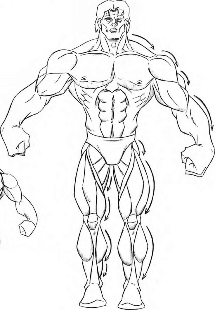 736x1059 drawing comics buff body for free download - Muscular Body Drawing