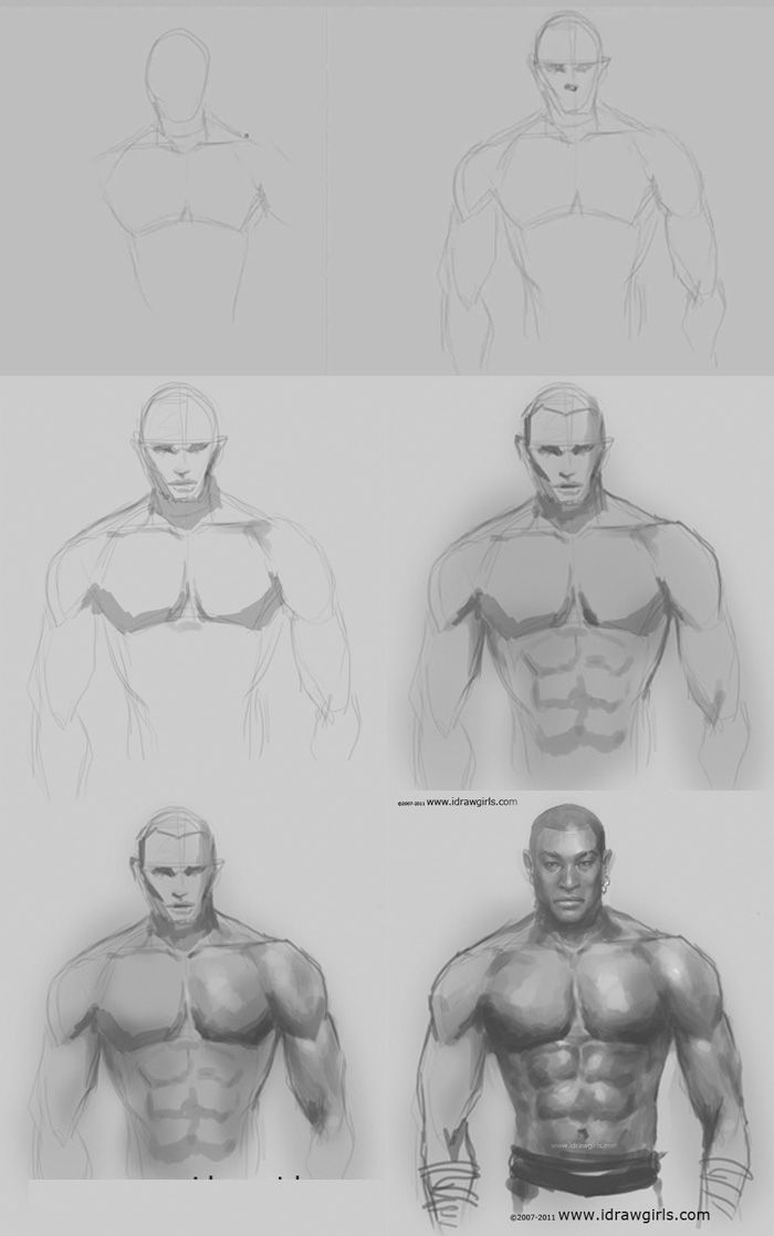 700x1118 drawing for girls drawing man muscles step - Muscular Body Drawing
